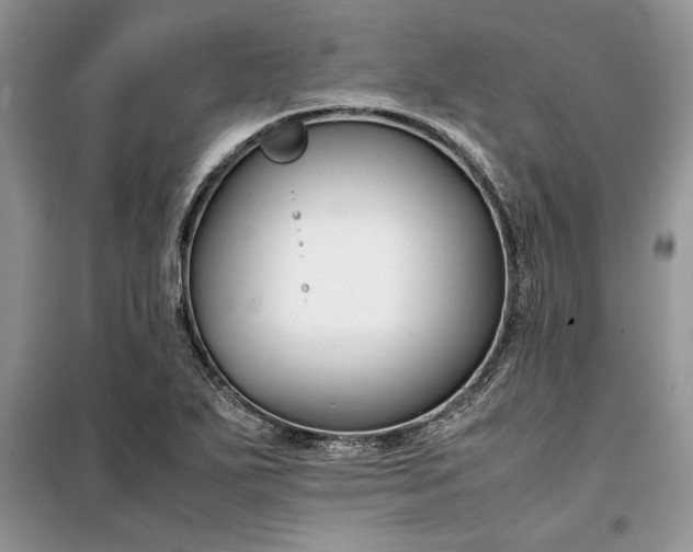 X0000099511271200805291141