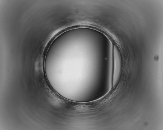 X0000099511272200805291141