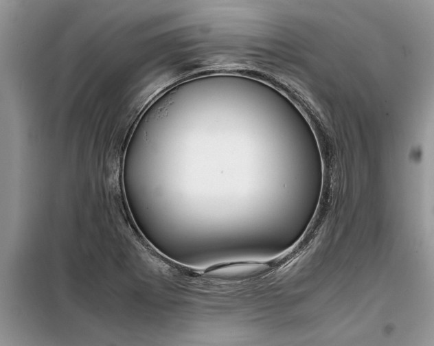 X0000099511273200805291141