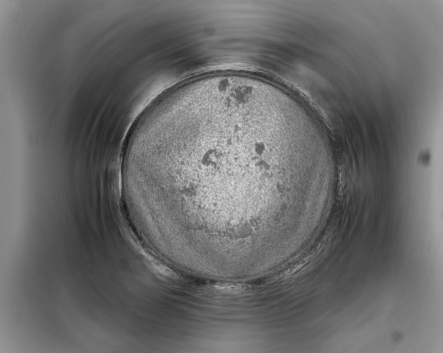 X0000099511274200805291141