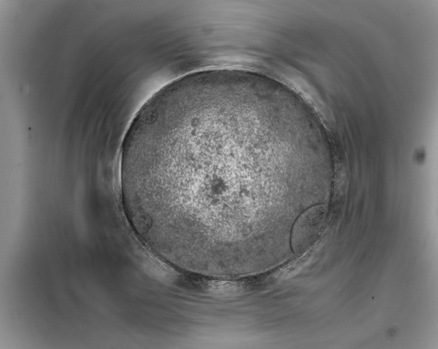 X0000099511275200805291141