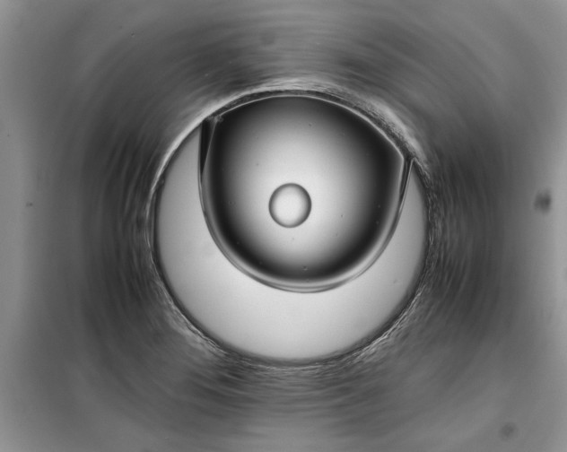 X0000099511276200805291141