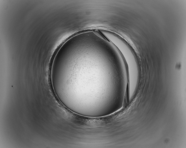 X0000099511277200805291141