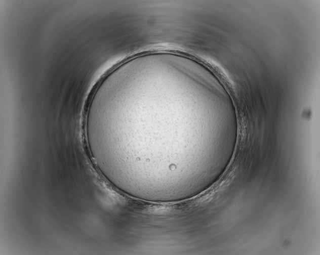 X0000099511278200805291141