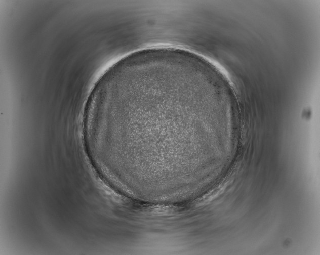 X0000099511279200805291141