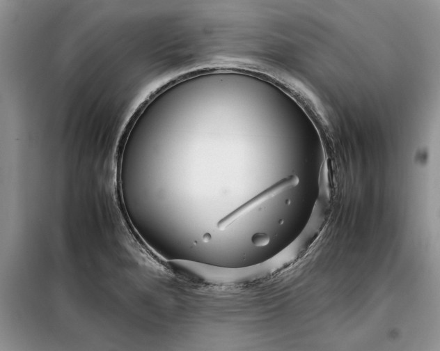 X0000099511280200805291141