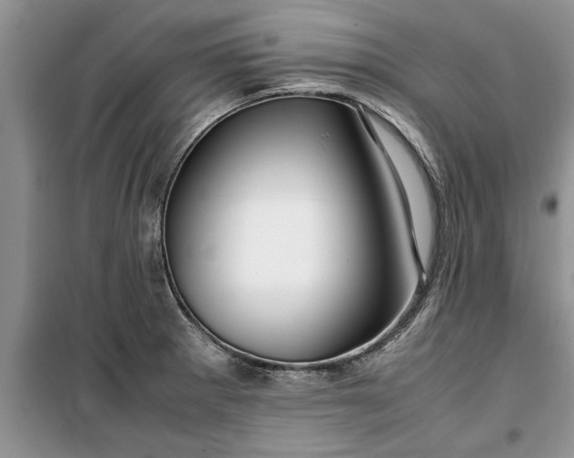 X0000099511281200805291141