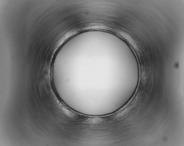 X0000099511282200805291141