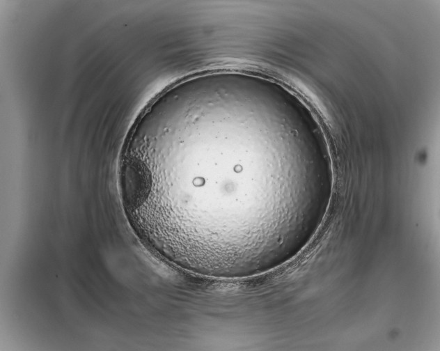 X0000099511283200805291141