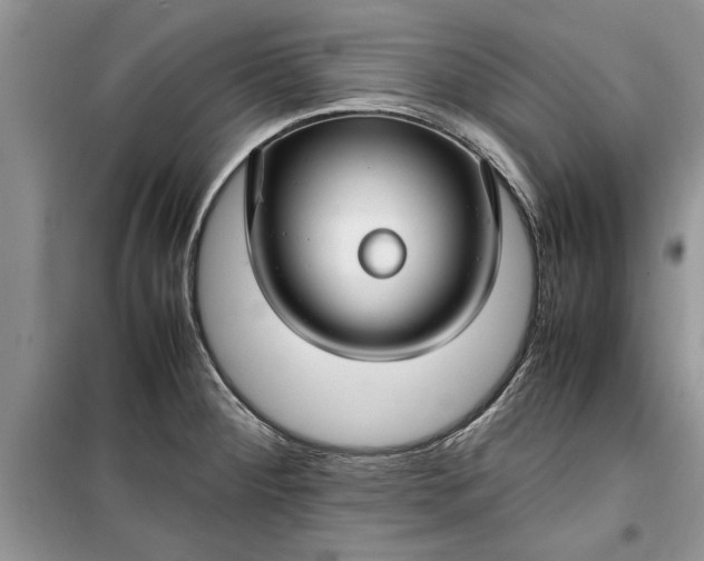 X0000099511284200805291141