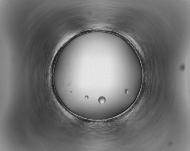 X0000099511285200805291141