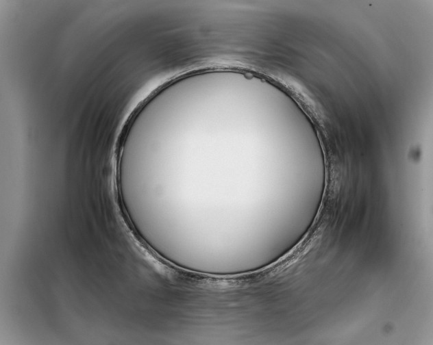 X0000099511286200805291141