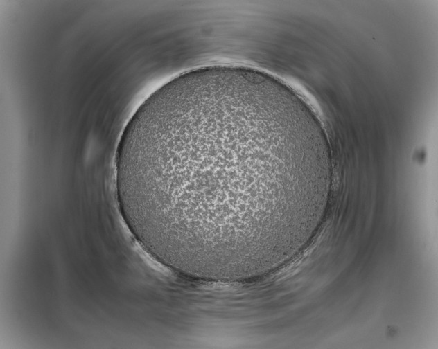 X0000099511287200805291141