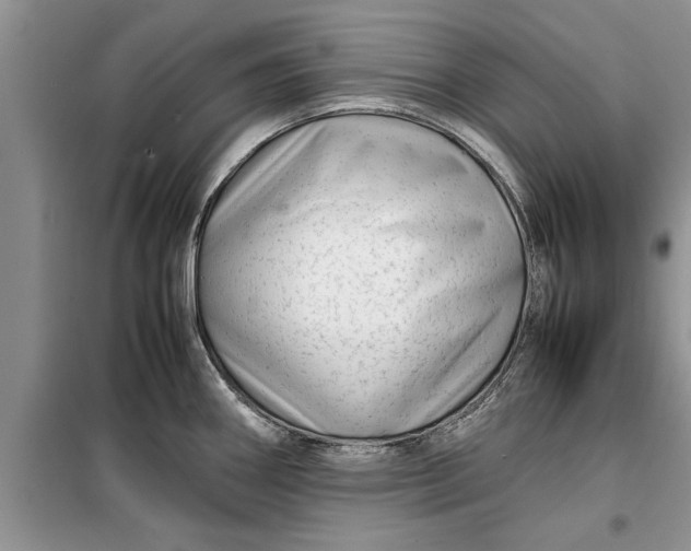 X0000099511290200805291141