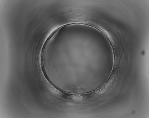 X0000099511291200805291141