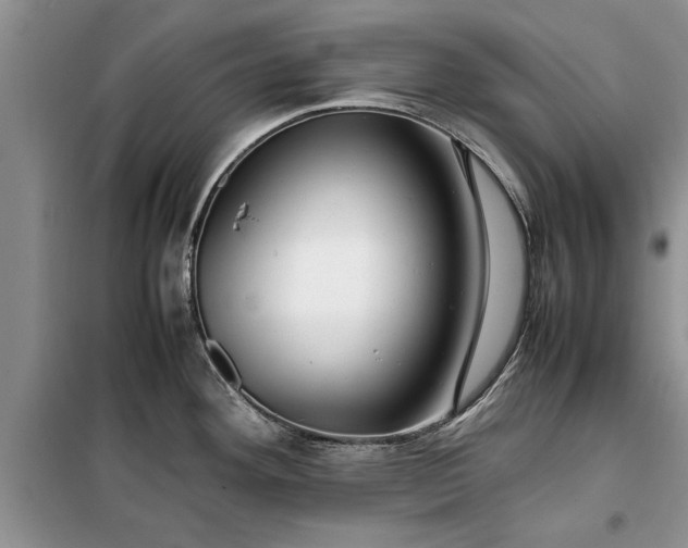 X0000099511292200805291141