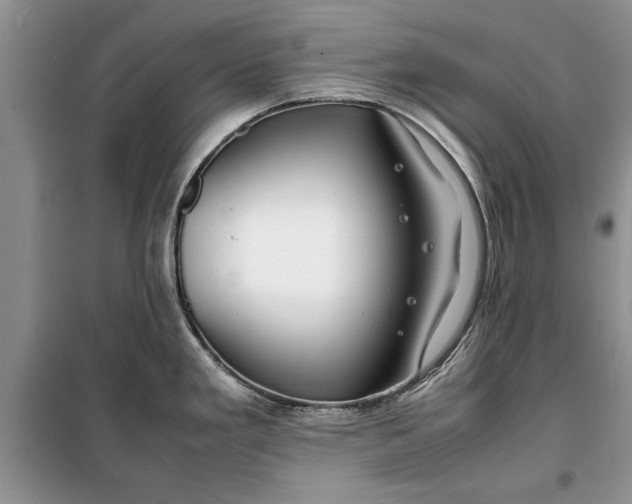 X0000099511293200805291141