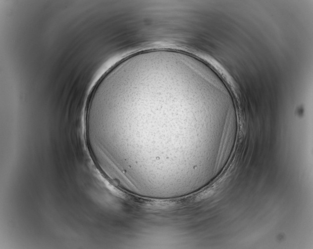 X0000099511294200805291141