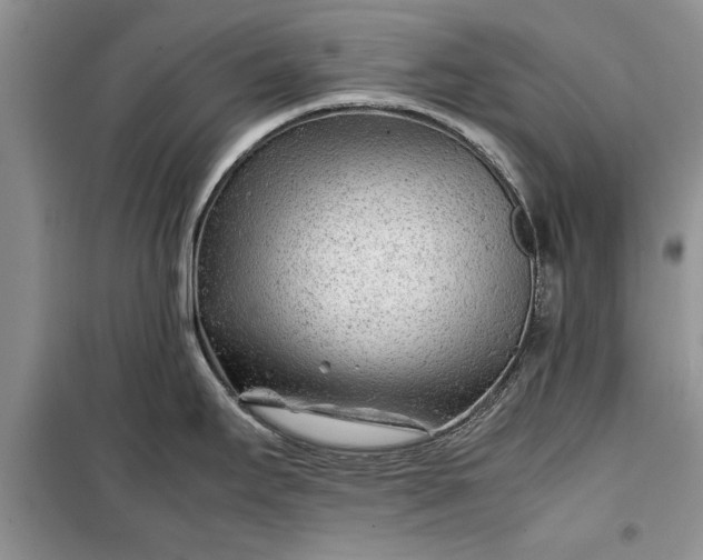 X0000099511295200805291141