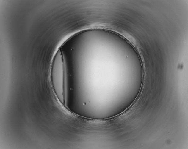 X0000099511296200805291141