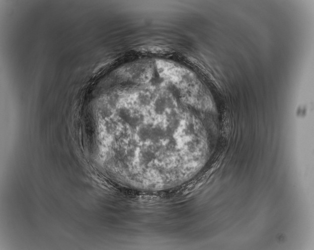 X0000099511297200805291140