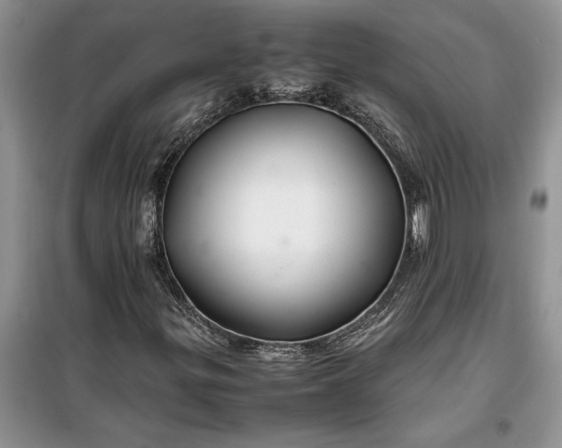 X0000099511299200805291140