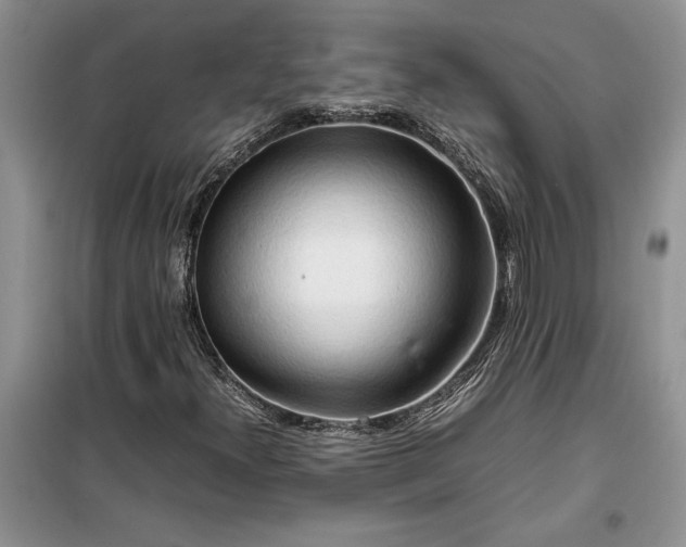 X0000099511300200805291140