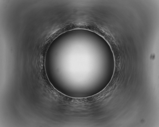 X0000099511301200805291140