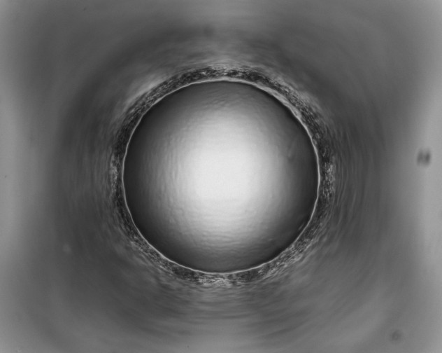 X0000099511302200805291140