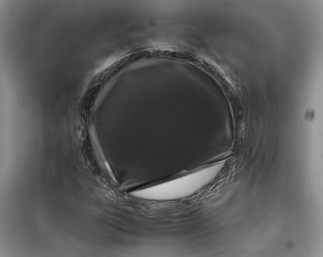 X0000099511303200805291140