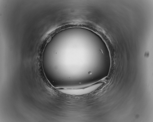X0000099511304200805291140