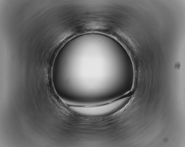 X0000099511305200805291140