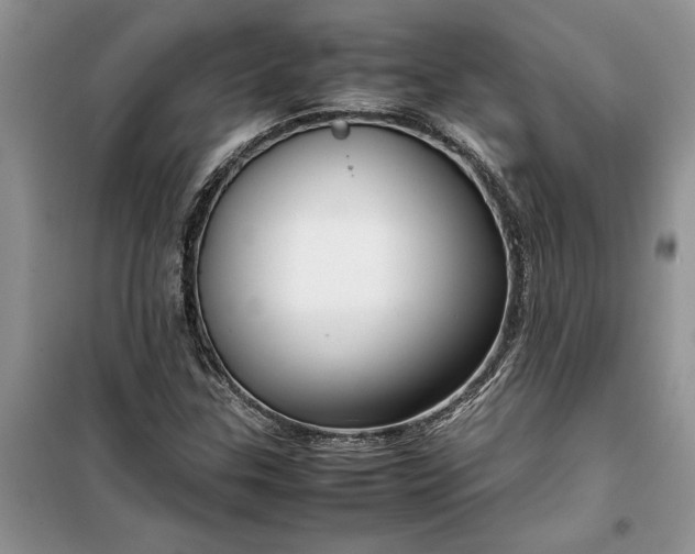 X0000099511307200805291140