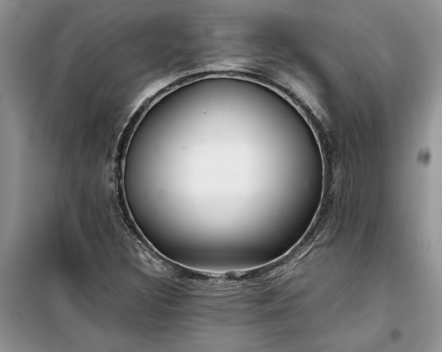 X0000099511308200805291140