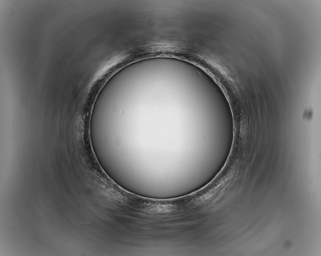 X0000099511309200805291140