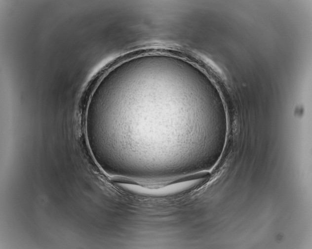 X0000099511310200805291140