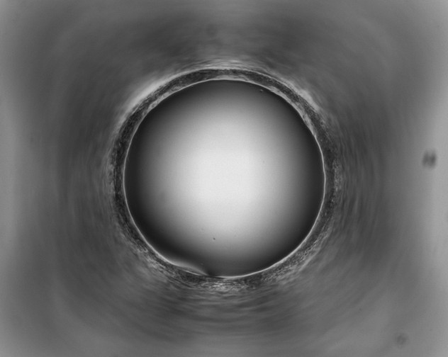 X0000099511311200805291140