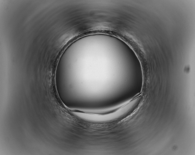 X0000099511313200805291140