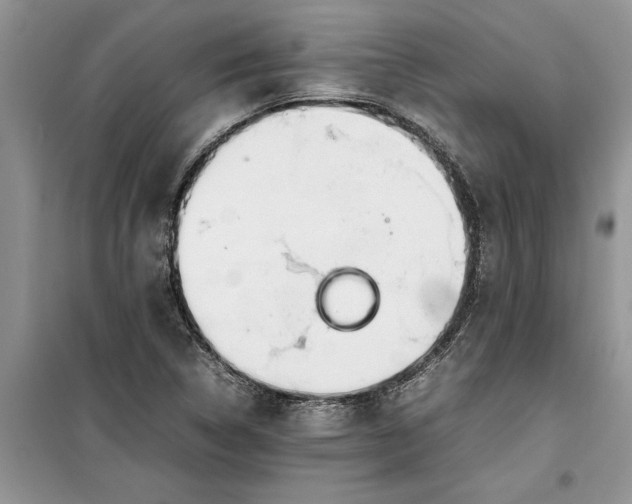 X0000099511314200805291140