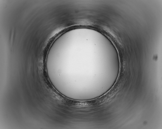 X0000099511315200805291141