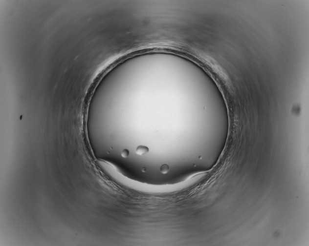 X0000099511316200805291141