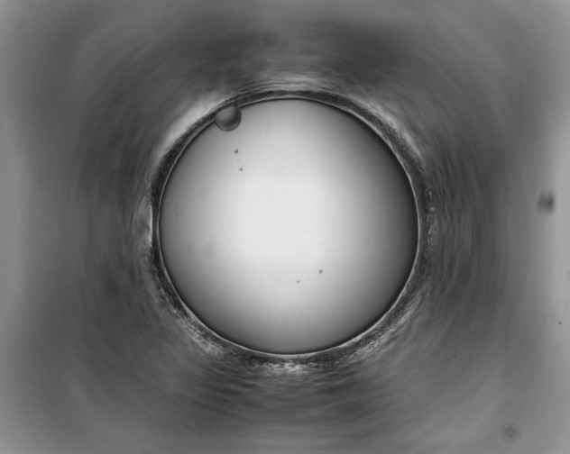 X0000099511317200805291141