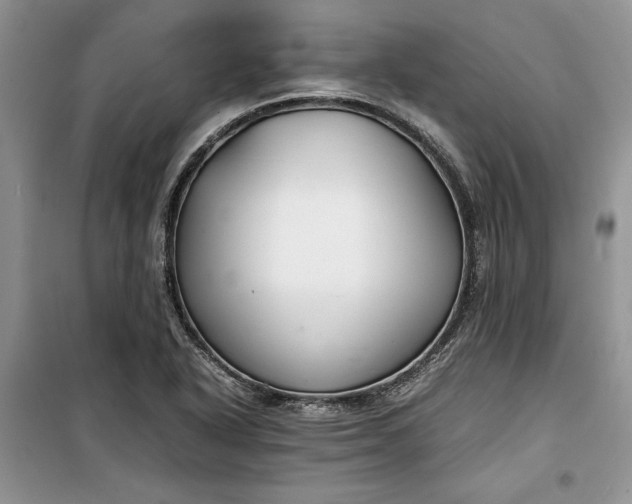 X0000099511318200805291141