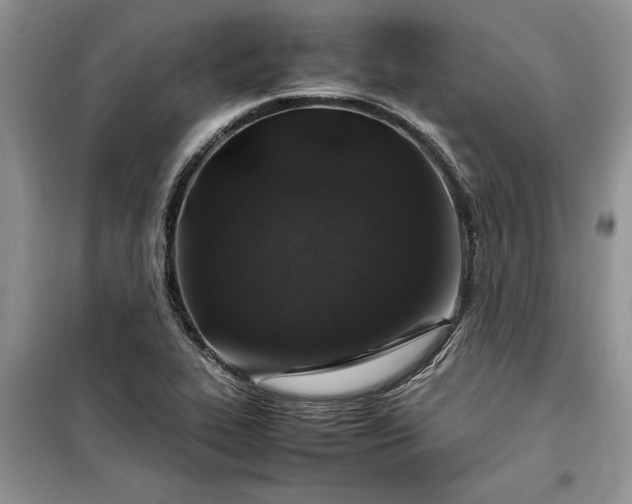 X0000099511319200805291141