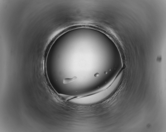 X0000099511320200805291141