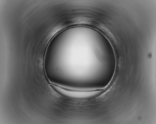 X0000099511321200805291141