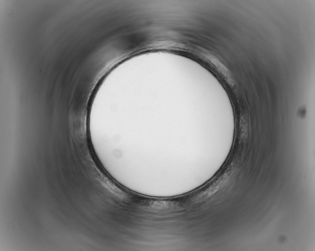 X0000099511322200805291141