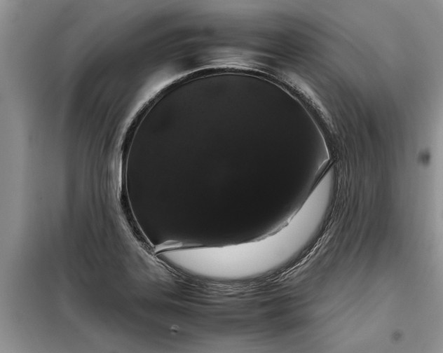 X0000099511323200805291141