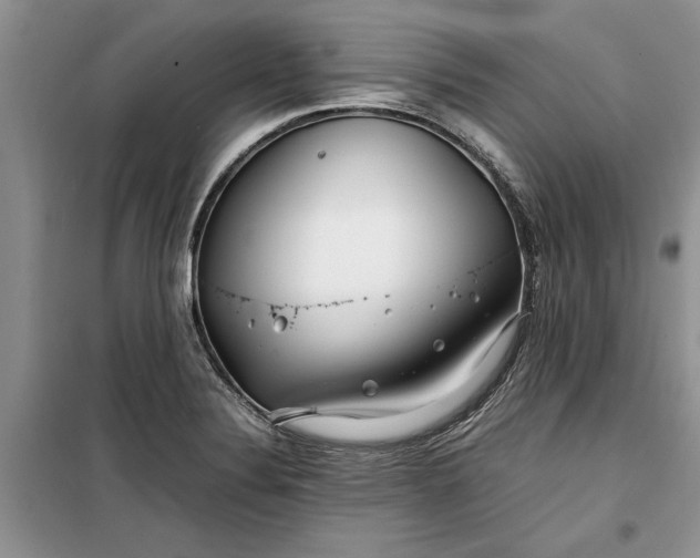 X0000099511324200805291141