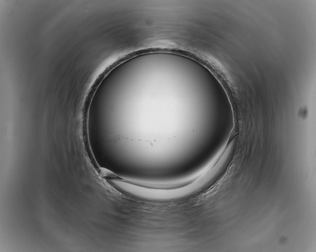 X0000099511326200805291141